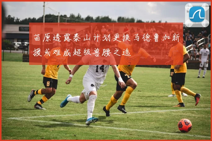 苗原透露泰山计划更换马德鲁加新援或难成超级兽腰之选